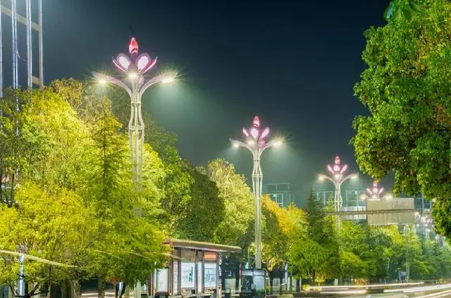 新疆光伏路灯_乡村太阳能路灯_道路亮化_厂家批发